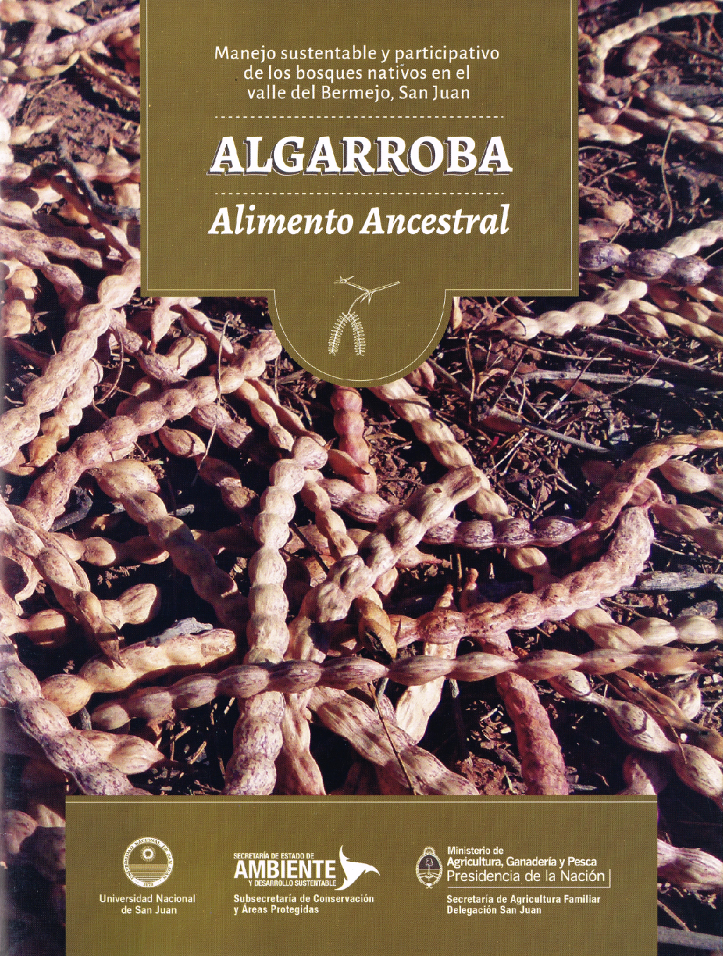 Algarroba, alimento ancestral	