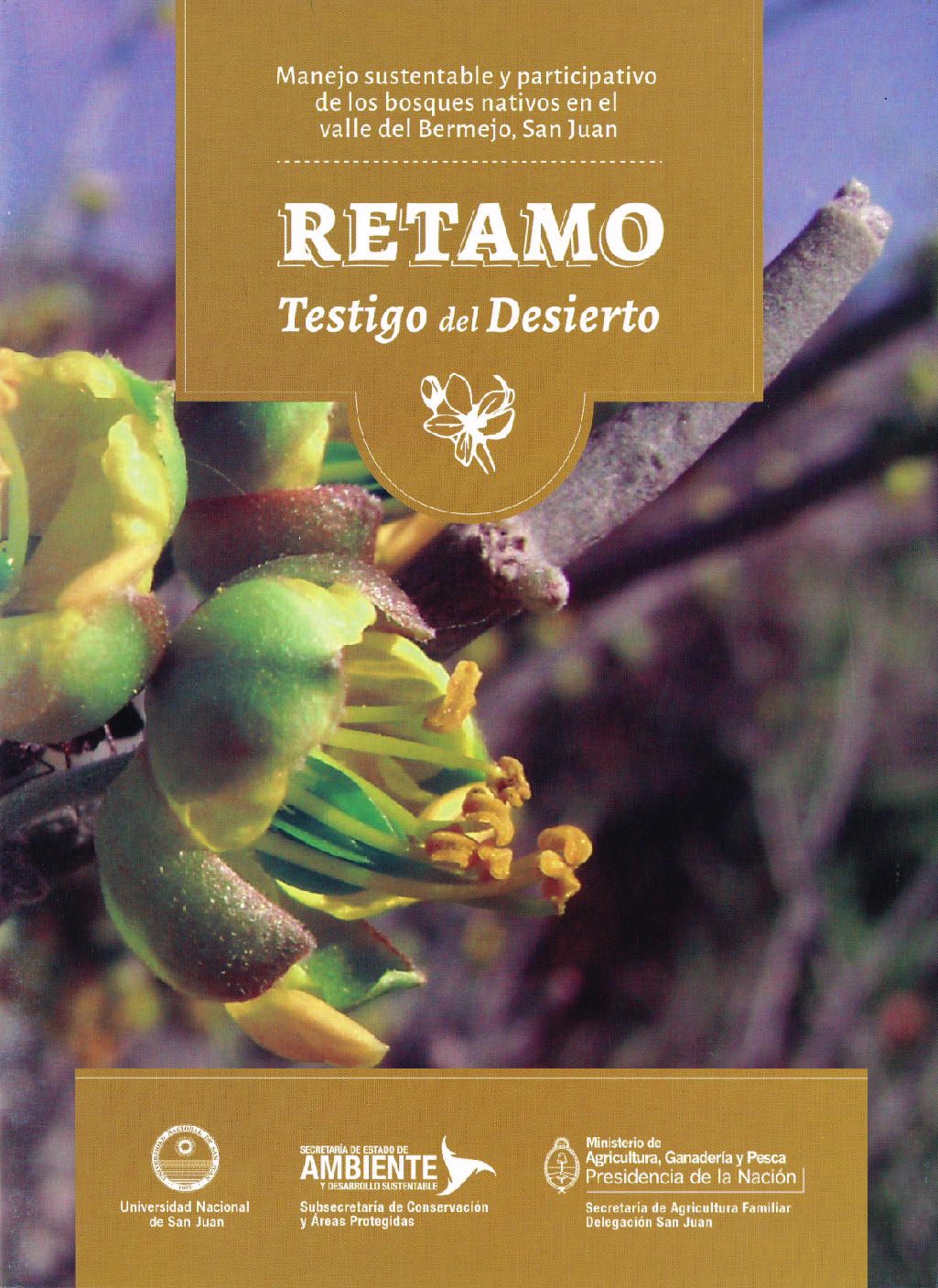 Retamo testigo del desierto